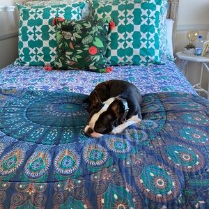 Roberta Roller Rabbit King Bedding Set
